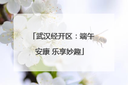 武汉经开区：端午安康 乐享妙趣