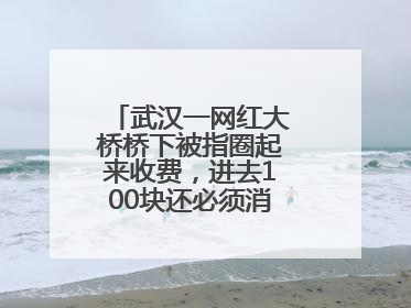 武汉一网红大桥桥下被指圈起来收费，进去100块还必须消费？当地回应