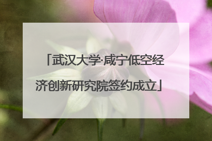 武汉大学·咸宁低空经济创新研究院签约成立