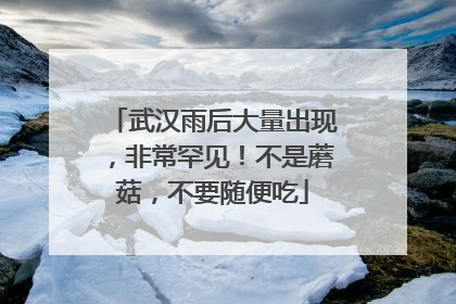 武汉雨后大量出现，非常罕见！不是蘑菇，不要随便吃
