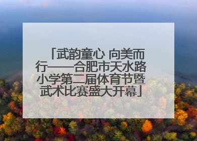 武韵童心 向美而行——合肥市天水路小学第二届体育节暨武术比赛盛大开幕