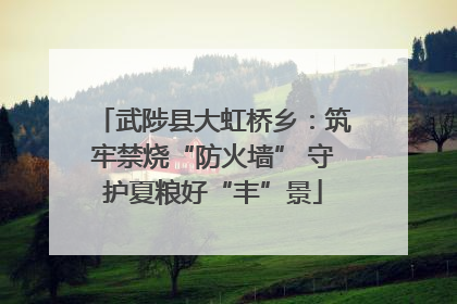 武陟县大虹桥乡：筑牢禁烧“防火墙” 守护夏粮好“丰”景