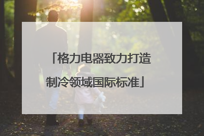 格力电器致力打造制冷领域国际标准
