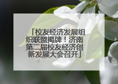 校友经济发展组织联盟揭牌！济南第二届校友经济创新发展大会召开