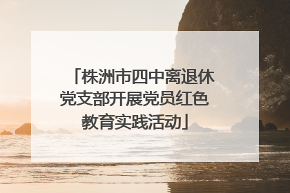 株洲市四中离退休党支部开展党员红色教育实践活动