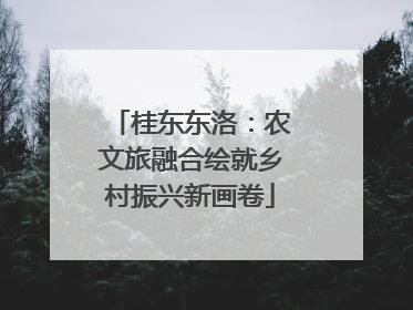 桂东东洛：农文旅融合绘就乡村振兴新画卷