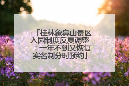 桂林象鼻山景区入园制度反复调整：一年不到又恢复实名制分时预约