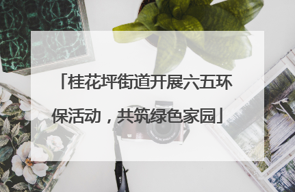 桂花坪街道开展六五环保活动，共筑绿色家园