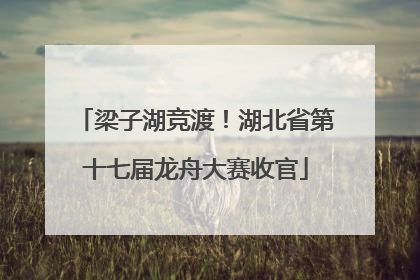 梁子湖竞渡！湖北省第十七届龙舟大赛收官