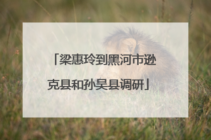梁惠玲到黑河市逊克县和孙吴县调研