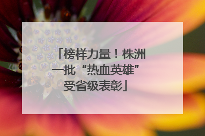 榜样力量！株洲一批“热血英雄”受省级表彰