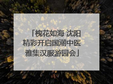 槐花如海 沈阳精彩开启国潮中医雅集汉服游园会