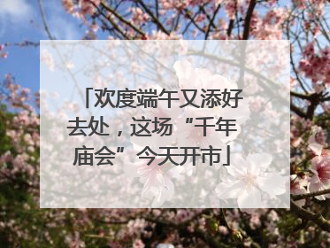 欢度端午又添好去处，这场“千年庙会”今天开市