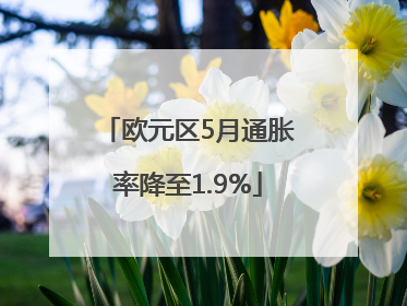 欧元区5月通胀率降至1.9%