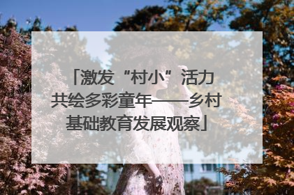 激发“村小”活力 共绘多彩童年——乡村基础教育发展观察