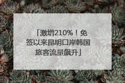 激增210%！免签以来昆明口岸韩国旅客流量飙升