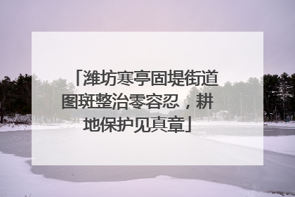 潍坊寒亭固堤街道图斑整治零容忍，耕地保护见真章
