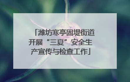 潍坊寒亭固堤街道开展“三夏”安全生产宣传与检查工作