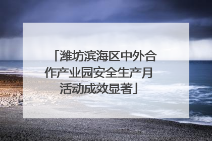 潍坊滨海区中外合作产业园安全生产月活动成效显著