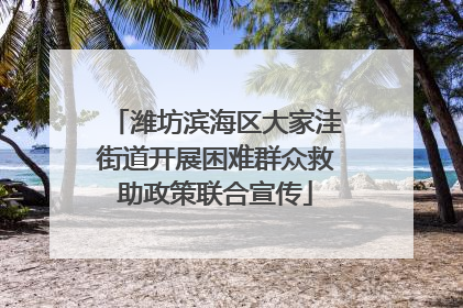 潍坊滨海区大家洼街道开展困难群众救助政策联合宣传