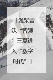 潍柴雷沃“智领”三夏进入“数字时代”