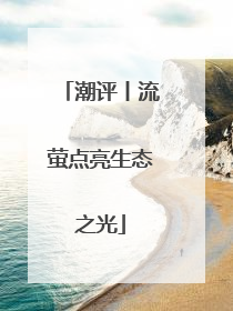潮评丨流萤点亮生态之光