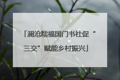 澜沧糯福国门书社促“三交”赋能乡村振兴