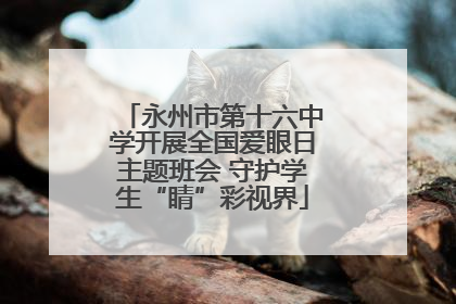 永州市第十六中学开展全国爱眼日主题班会 守护学生“睛”彩视界