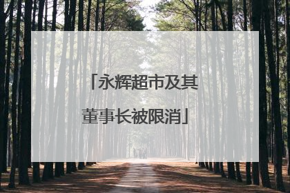 永辉超市及其董事长被限消