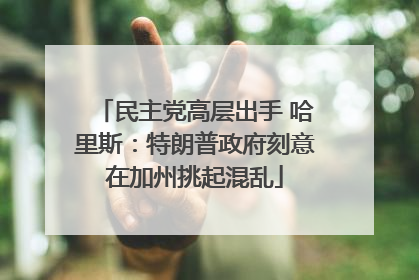 民主党高层出手 哈里斯：特朗普政府刻意在加州挑起混乱