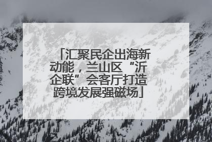 汇聚民企出海新动能，兰山区“沂企联”会客厅打造跨境发展强磁场