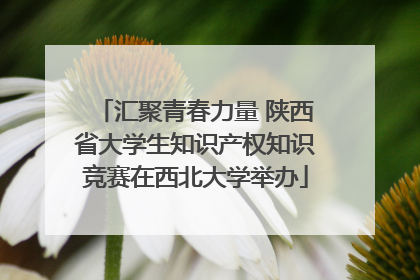 汇聚青春力量 陕西省大学生知识产权知识竞赛在西北大学举办