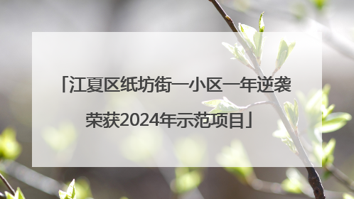 江夏区纸坊街一小区一年逆袭 荣获2024年示范项目
