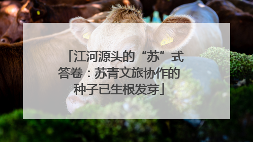 江河源头的“苏”式答卷：苏青文旅协作的种子已生根发芽
