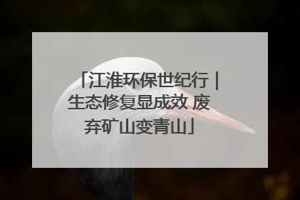 江淮环保世纪行｜生态修复显成效 废弃矿山变青山