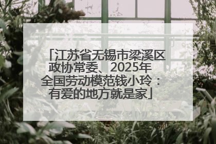 江苏省无锡市梁溪区政协常委、2025年全国劳动模范钱小玲：有爱的地方就是家