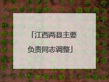 江西两县主要负责同志调整