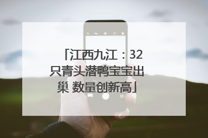 江西九江：32只青头潜鸭宝宝出巢 数量创新高