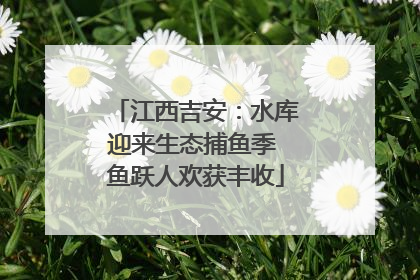 江西吉安：水库迎来生态捕鱼季 鱼跃人欢获丰收