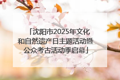 沈阳市2025年文化和自然遗产日主题活动暨公众考古活动季启幕