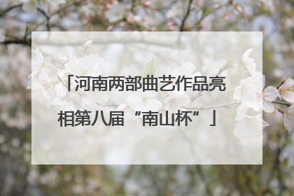 河南两部曲艺作品亮相第八届“南山杯”