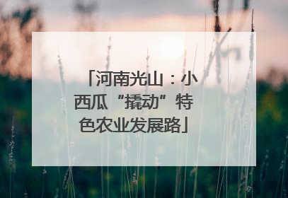 河南光山：小西瓜“撬动”特色农业发展路