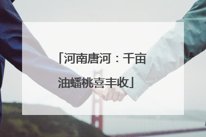 河南唐河：千亩油蟠桃喜丰收