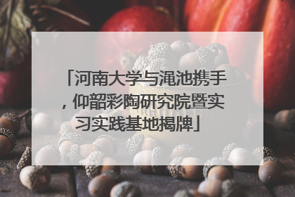 河南大学与渑池携手，仰韶彩陶研究院暨实习实践基地揭牌