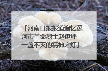 河南日报报道追忆漯河市革命烈士赵伊坪 一盏不灭的精神之灯