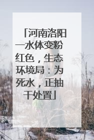 河南洛阳一水体变粉红色，生态环境局：为死水，正抽干处置