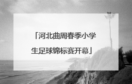 河北曲周春季小学生足球锦标赛开幕