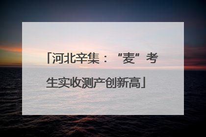 河北辛集：“麦”考生实收测产创新高
