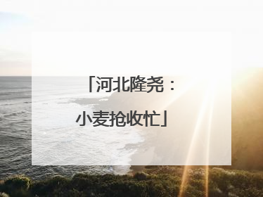 河北隆尧：小麦抢收忙