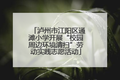 泸州市江阳区通滩小学开展“校园周边环境清扫”劳动实践志愿活动